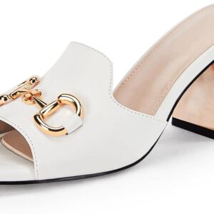 gihubafuil Women's Sandals Peep Toe Slides Chunky Heel Mules Single Band Comfort Slip-on Shoes with Metal Chain for Spring Summer